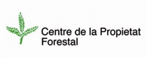 Centre-propietat-forestal